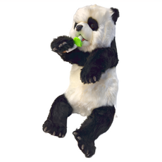 HANSA TOY 貓熊幼仔, 34cm, 1個