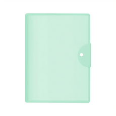 E.dot 平放收納冊/資料夾/文件夾 A3 31.5 x 24cm 40頁, 綠色, 1個