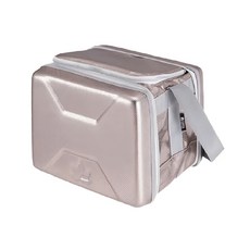 LOGOS 斷熱海霸超凍箱, 尺寸約 27.5x23x21.5cm, 容量 6.5L, 銀色