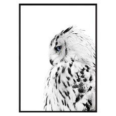 嘿美 貓頭鷹 掛畫, 黑色