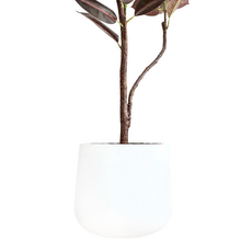 水泥盆 蛋型, 小(25 x 24cm), 白色, 1個