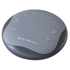 AVerMedia 圓剛科技 智慧抗噪通話會議揚聲器, AS315, 石墨黑