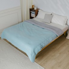 JINDACHI 金大器 石墨烯雙面火山絨暖可頌被 6 x 7尺, 薄荷綠