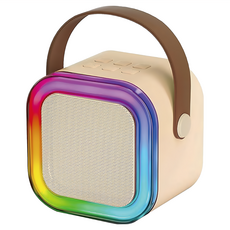 Songwin 尚之宇 可攜式藍牙卡拉ok喇叭