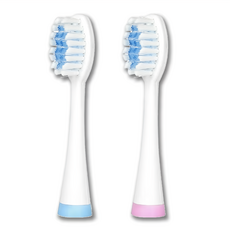 Kinyo 音波牙刷替換刷頭 2支, ETB-710-1, 1盒