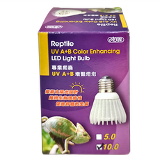 ISTA 伊士達 專業爬蟲UVB增豔燈泡 10.0 UV A+B 模擬太陽光設計 維持生物活性 促進骨骼生長 E-27型燈座, I-H585, 1個