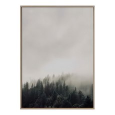 濃霧森林, 木色