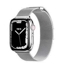 SwitchEasy 魚骨牌 Mesh 不鏽鋼米蘭磁吸錶帶 銀色, Apple Watch 44/45/46/49mm, 1條