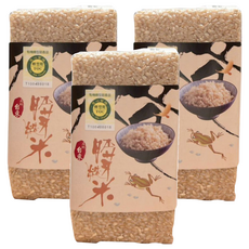 origin 源天然 有機轉型期糙米 CNS二等米, 600g, 3包