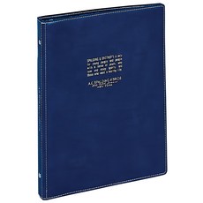 Raymay 藤井 PVC製資料夾 20孔 A5, 藍, 1本