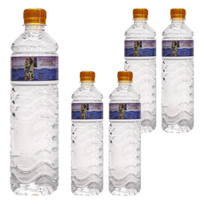 高仰三 淨泉水 560ml 推薦泡茶、咖啡、煲湯 細緻好吸收 高品質水源, 5瓶