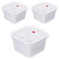 KEYWAY 聯府 小方型保鮮盒 970ml, 1個容器 + 1個蓋子 + 1個瀝水籃, 3個