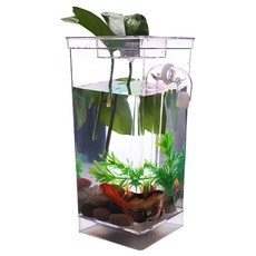 迷你懶人自動換水魚缸 透明色 桌面迷你生態, 1個, 12 x 10 x 25cm