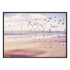 飛鳥 藝術掛畫, 黑色