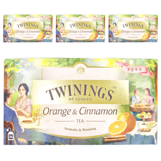 TWININGS 唐寧茶 香橙肉桂茶 茶包, 2g, 25包, 4盒