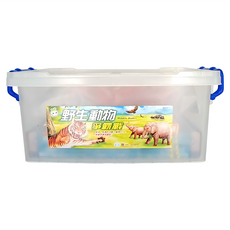 世一文化 野生動物爭霸戰，12個動物模型 (隨機)，收納盒，動物立卡與底座, 林淑貞