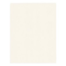 DING DONG PET 寵物防滑防水地墊 折疊單片款 140 x 60cm 乳白色/背面灰色, 1個