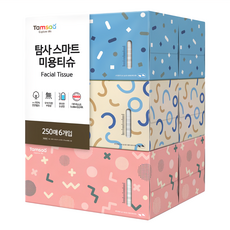 Tamsaa Smart 美容擦臉專用衛生紙 250張, 6盒, 1組