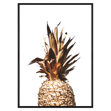 金金有鳳又來梨, 黑色