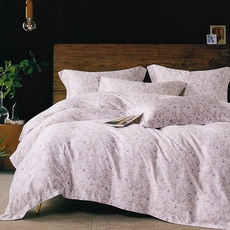 貝淇小舖 60支100%天絲床包兩用被四件組