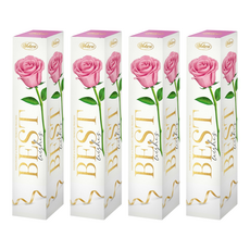 Vobro 威寶 榛果夾心巧克力 75g, 4盒