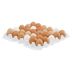 德國 VEGA 30格雞蛋收納盒 290 x 290 x 40mm, 1個, 白色