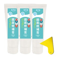 愛家捷 牆面修補膏 250g 台灣製造, 1組