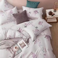 E-ROU 伊柔寢飾 百貨專櫃天絲床包 + 枕套 台灣製