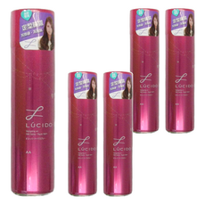 LUCIDO-L 樂絲朵 強力定型噴霧 不僵硬 不黏膩, 291ml, 200g, 5罐