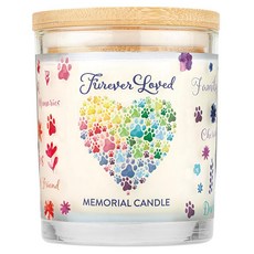 PET HOUSE Furever Loved Memorial Candle, 9 oz (255g), 可燃燒長達60小時, 1罐