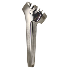 ZWILLING 雙人 沙拉夾, 銀色, 1個