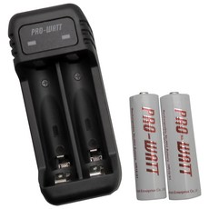 PRO-WATT 華志 智慧快速 鎳氫電池 充電組 附4號電池, 1組