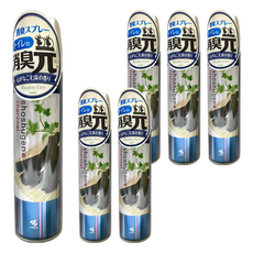 KOBAYASHI 小林製藥 消臭元浴廁用除臭噴霧 (280ML/木炭香), 6瓶