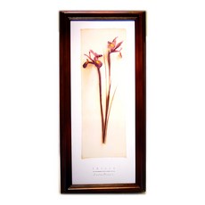 原木鑰匙盒壁飾 長 直幅 27 x 56cm, I ises 鳶尾花, 1個