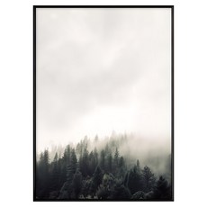 濃霧森林, 30 x 40cm, 黑框