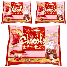 Takaoka 高岡食品 草莓風味生巧克力, 140g, 3袋