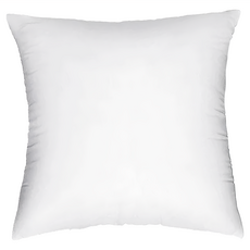 AHOYE 厚磅抱枕芯 200G 沙發靠枕枕頭 (2入組), 30 x 30cm, 純白, 1組