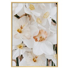 BOLUO GALLERY 菠蘿選畫所 掛畫 花 淡泊, BFFB4609D, 59.4 x 42cm, 木色