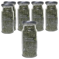 ROCK CATS 美國有機貓草, 100%美國有機栽培地區種植, 花葉, 10g, 6瓶