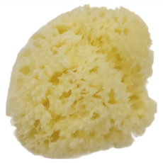 Bellini SA-12 100%地中海天然海綿 意大利產, 1個