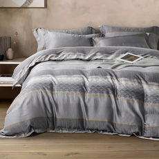 60S 奧地利天絲™床包兩用被4件組 鋪棉 100%萊賽爾纖維 柔軟親膚, 床包 + 兩用被套 + 枕套組, 雙人, 摩登城市 灰色