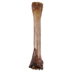 NATURAL FARM 自然牧場 馬腿骨 粗蛋白90%, 1個, 310g