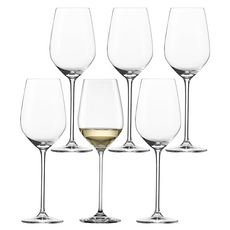 ZWIESEL GLAS FORTISSIMO系列 白酒杯, 420ml, 6個