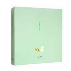 Conitale 等待你的心 懷孕日記 超音波相本, 薄荷, 1本, 48張