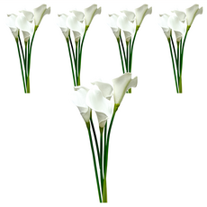 FLORAL M 仿真花 氣質仙女白蕊白海芋花材 5個 擬真花朵觸感 營造自然氛圍, 白色