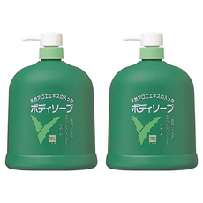 COW STYLE 牛乳石鹼 蘆薈沐浴乳, 1.2L, 2瓶