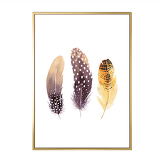 波羅選畫所 主題選畫 插畫 翎羽, 70 x 50cm, 金色
