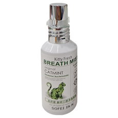 In Nature 自然匯 貓咪口腔淨臭噴霧 原味綠茶, 40ml, 1瓶