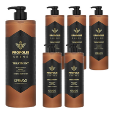 KERASYS 蜂膠活力光澤護髮素 1L, 6瓶