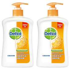 Dettol 滴露 清新柑橘潔手液 全面抗菌, 250ml, 2瓶